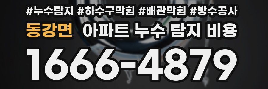 동강면 아파트 누수 탐지 비용
