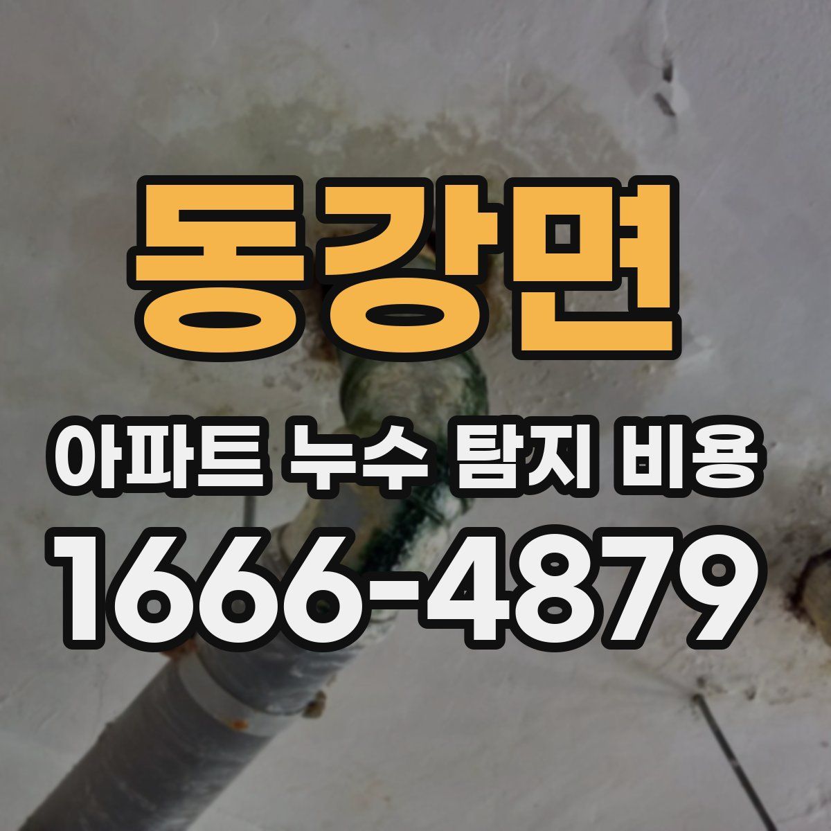 동강면 아파트 누수 탐지 비용