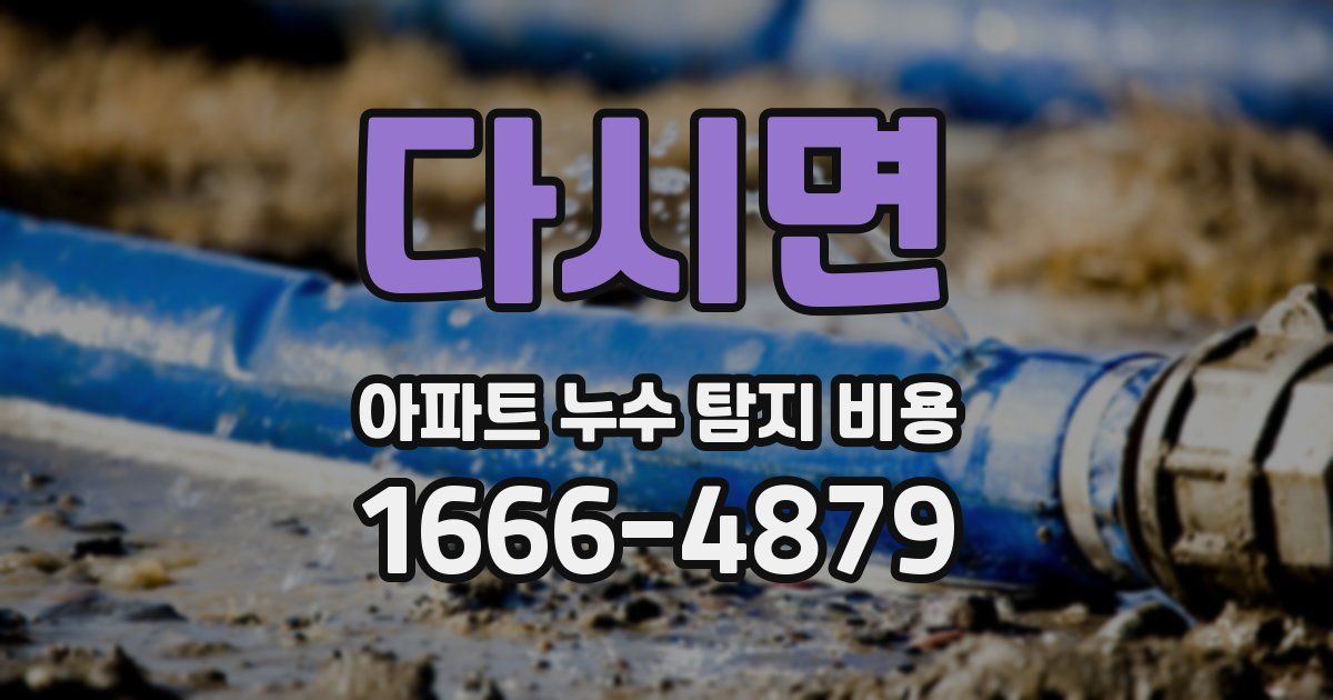다시면 아파트 누수 탐지 비용