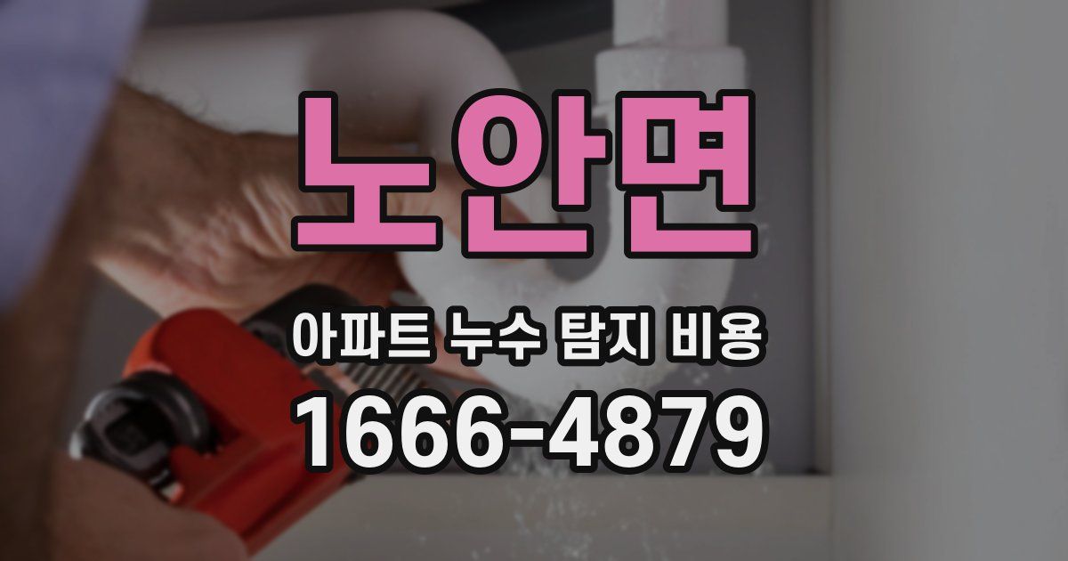 노안면 아파트 누수 탐지 비용