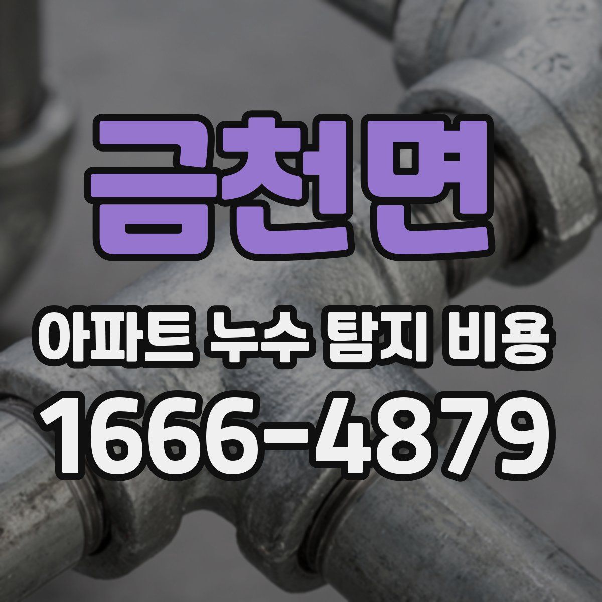 금천면 아파트 누수 탐지 비용