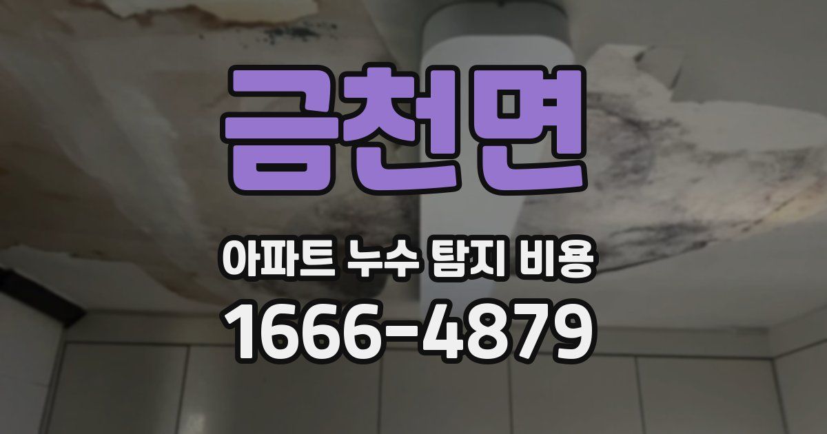 금천면 아파트 누수 탐지 비용