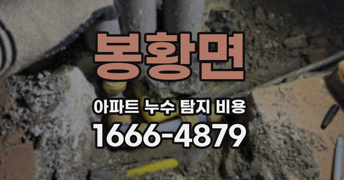 봉황면 아파트 누수 탐지 비용