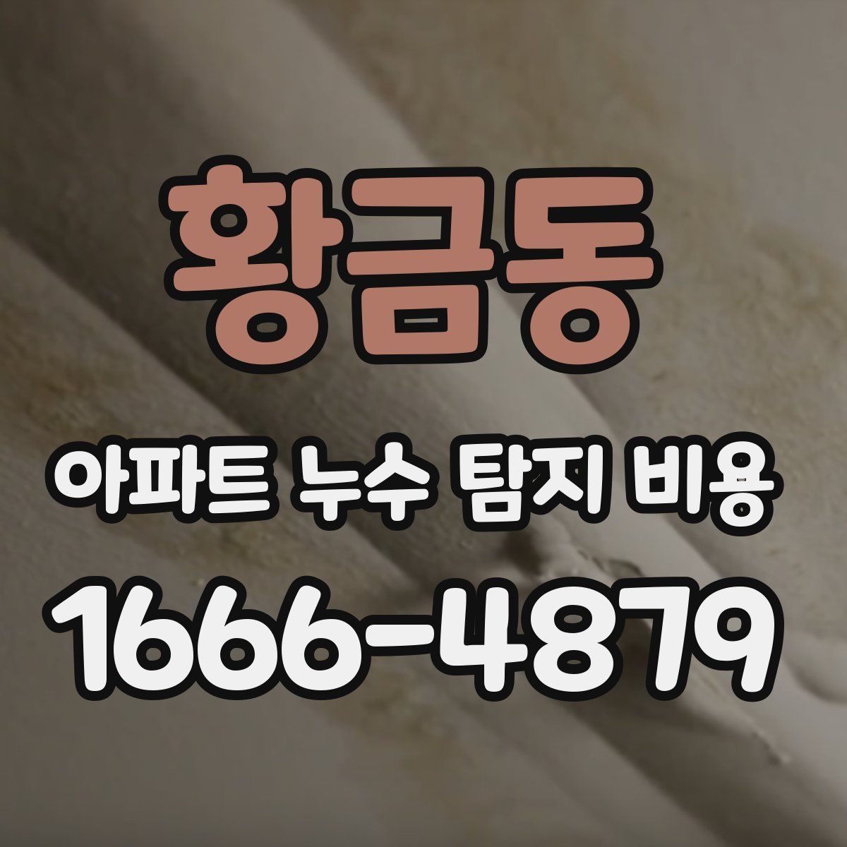 황금동 아파트 누수 탐지 비용
