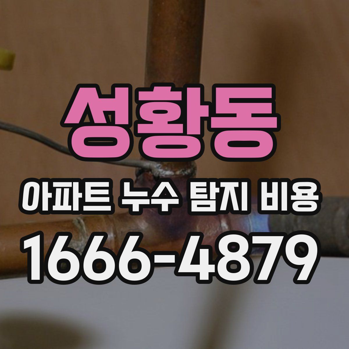 성황동 아파트 누수 탐지 비용