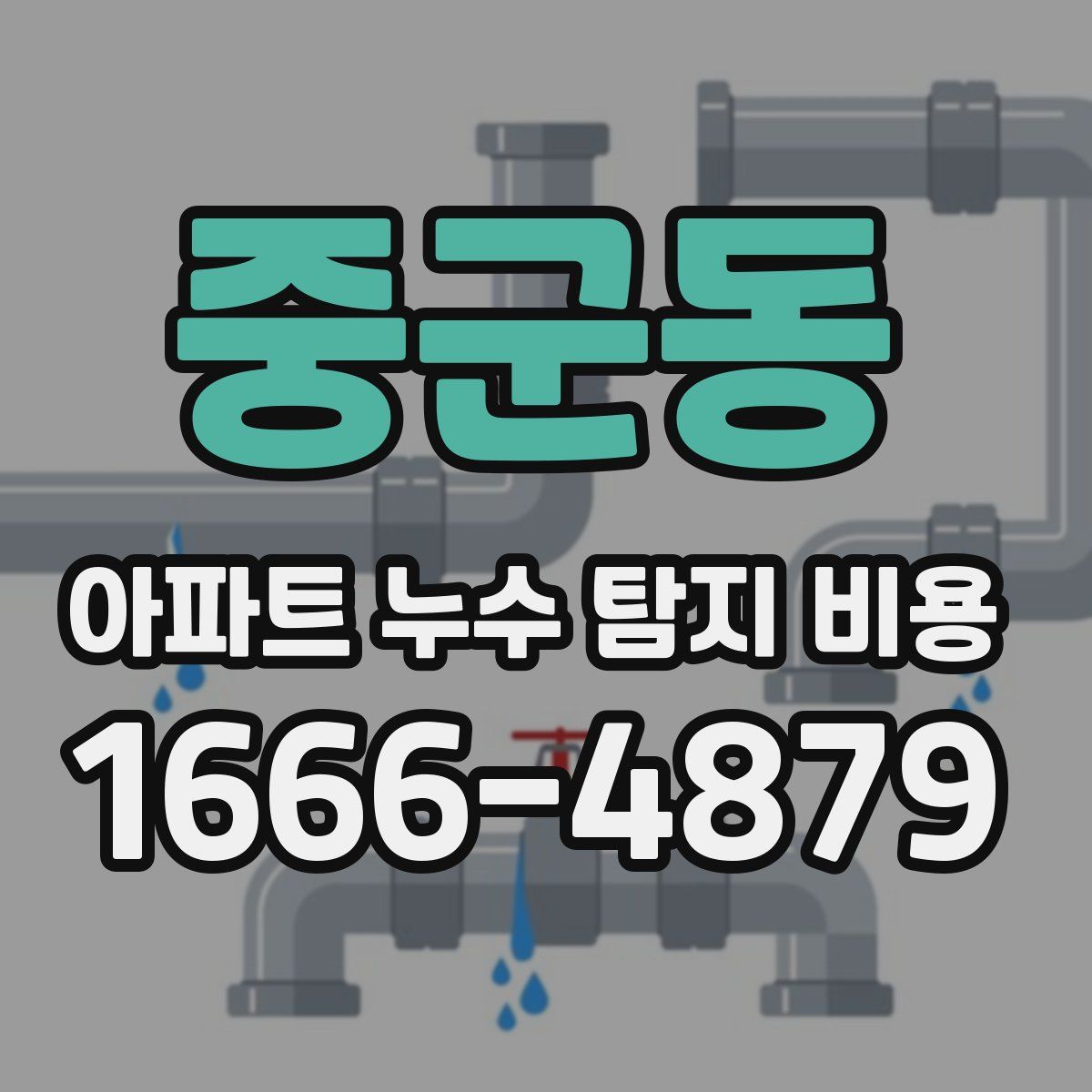 중군동 아파트 누수 탐지 비용