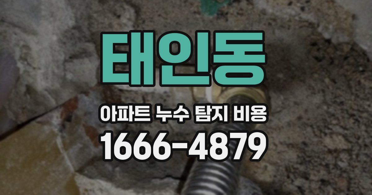태인동 아파트 누수 탐지 비용