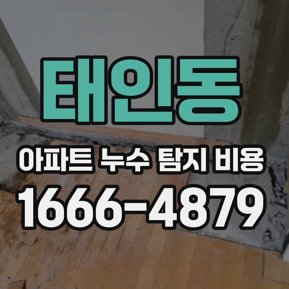 태인동 아파트 누수 탐지 비용