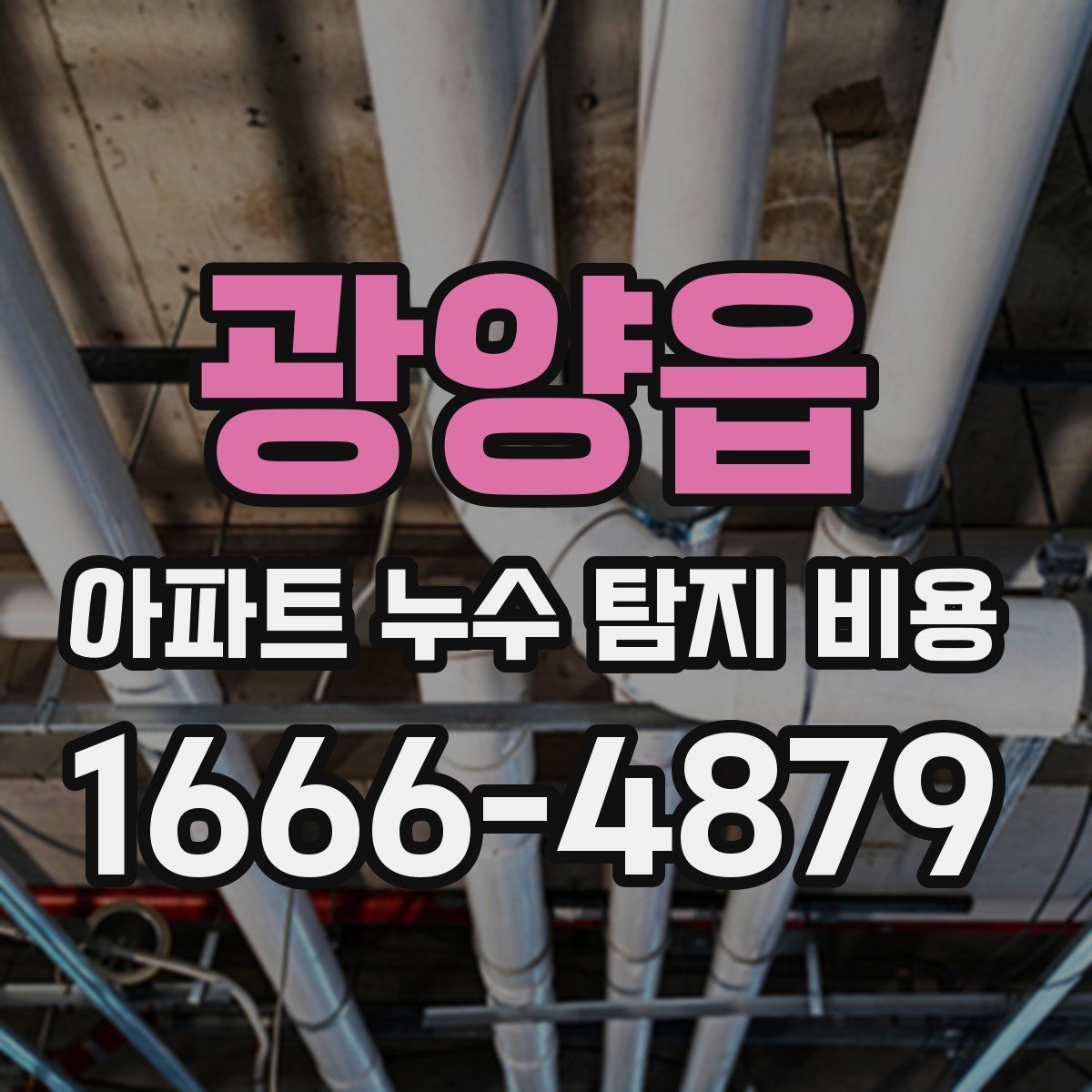광양읍 아파트 누수 탐지 비용