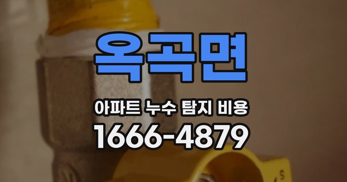 옥곡면 아파트 누수 탐지 비용