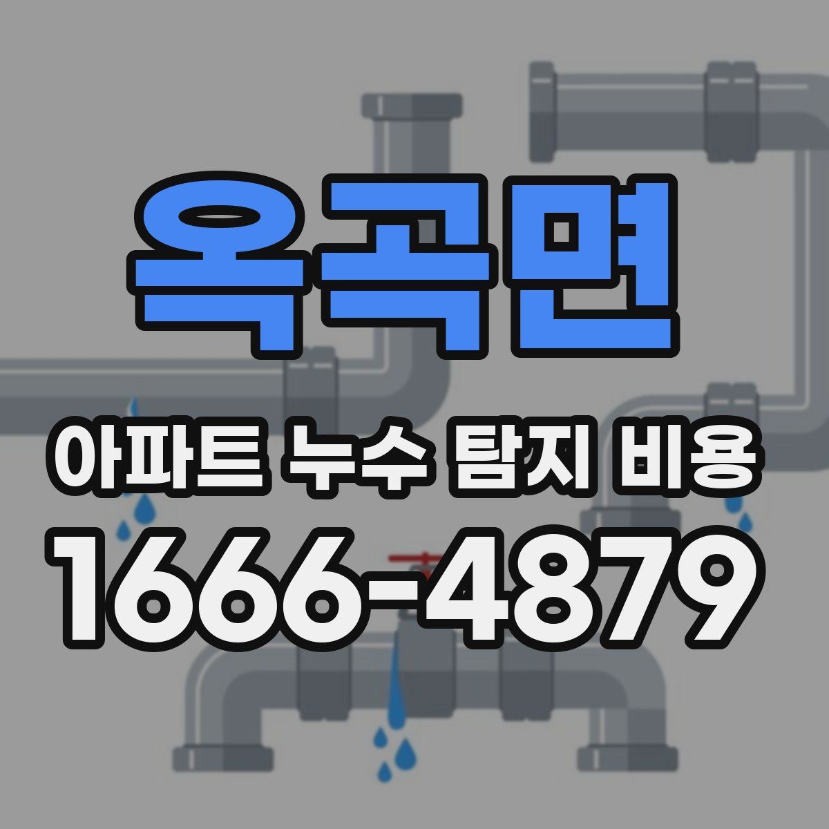 옥곡면 아파트 누수 탐지 비용