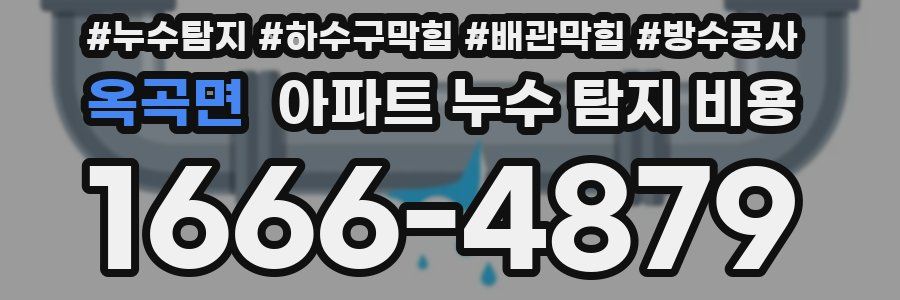 옥곡면 아파트 누수 탐지 비용