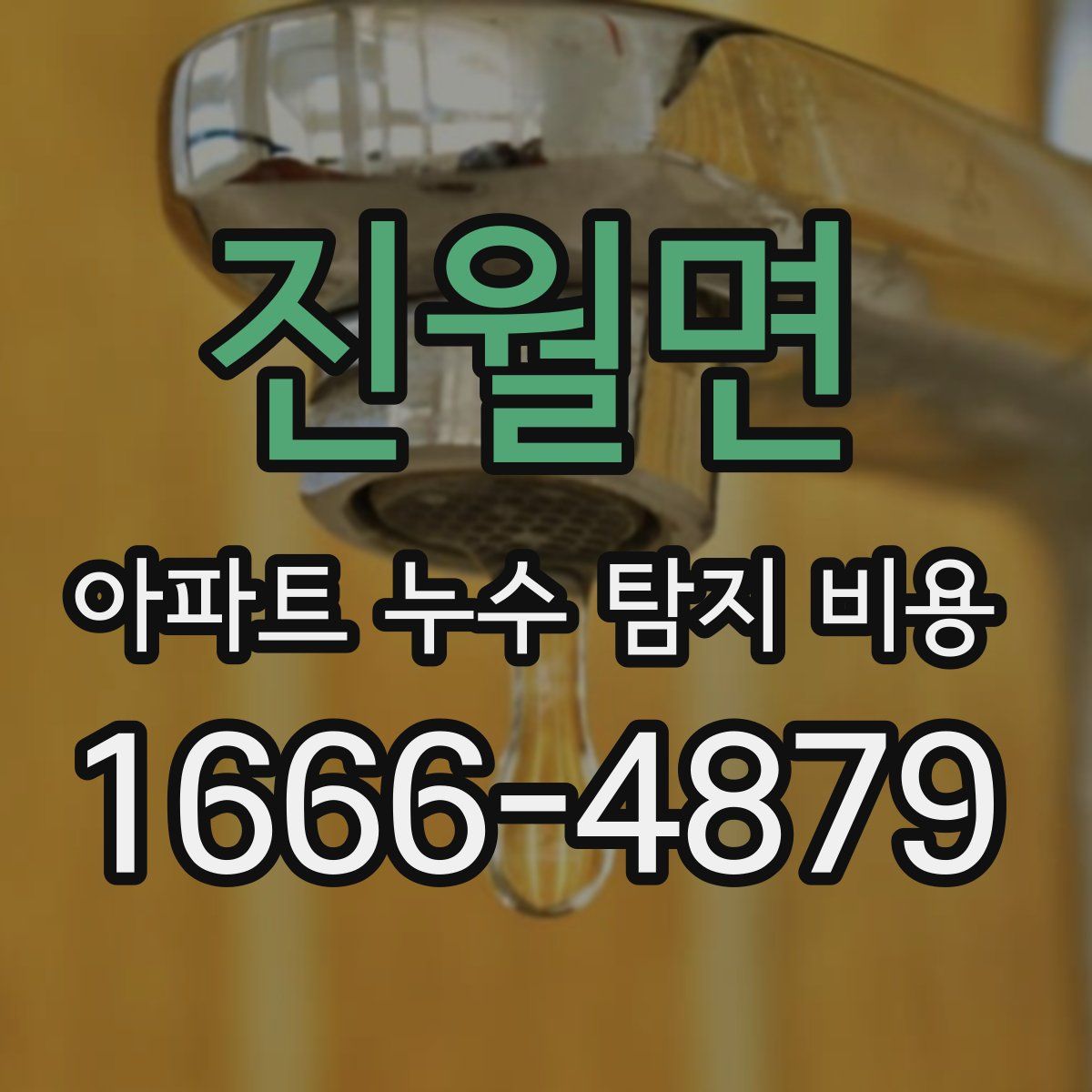 진월면 아파트 누수 탐지 비용