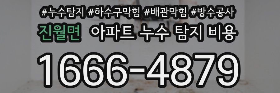 진월면 아파트 누수 탐지 비용