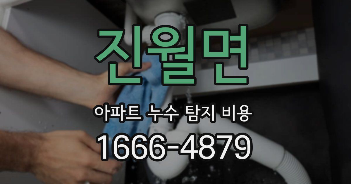 진월면 아파트 누수 탐지 비용