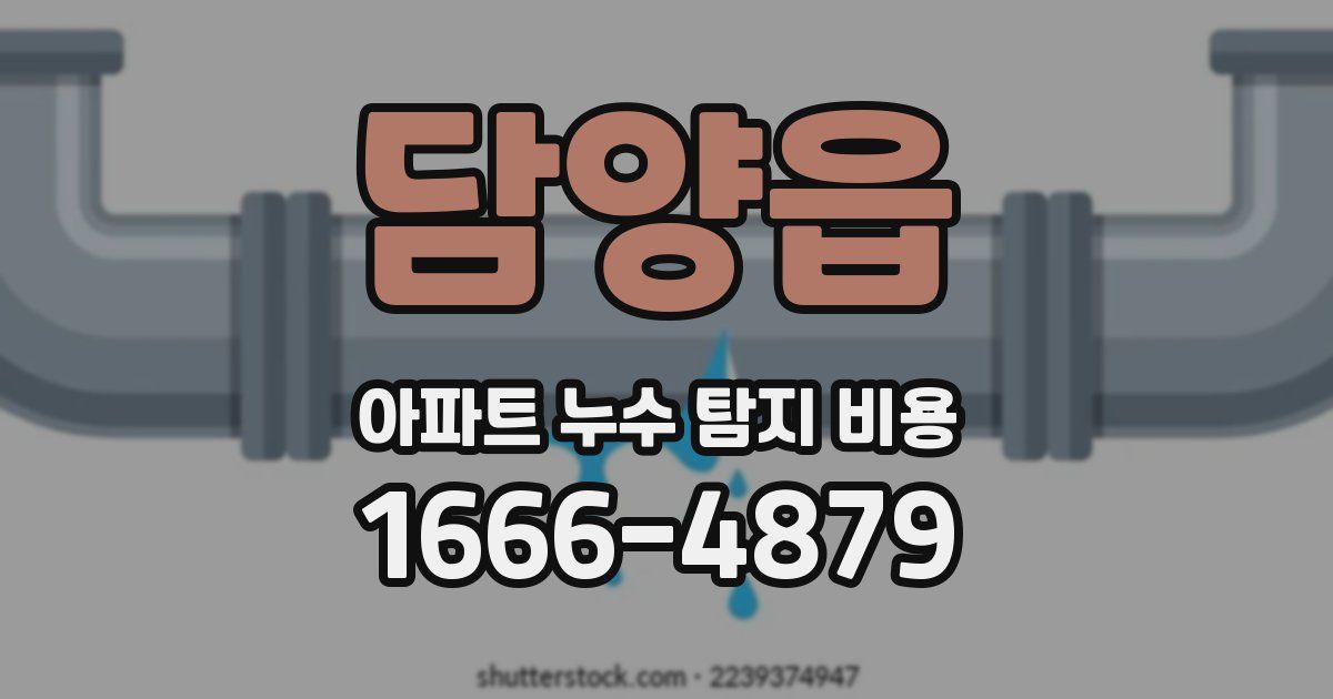 담양읍 아파트 누수 탐지 비용
