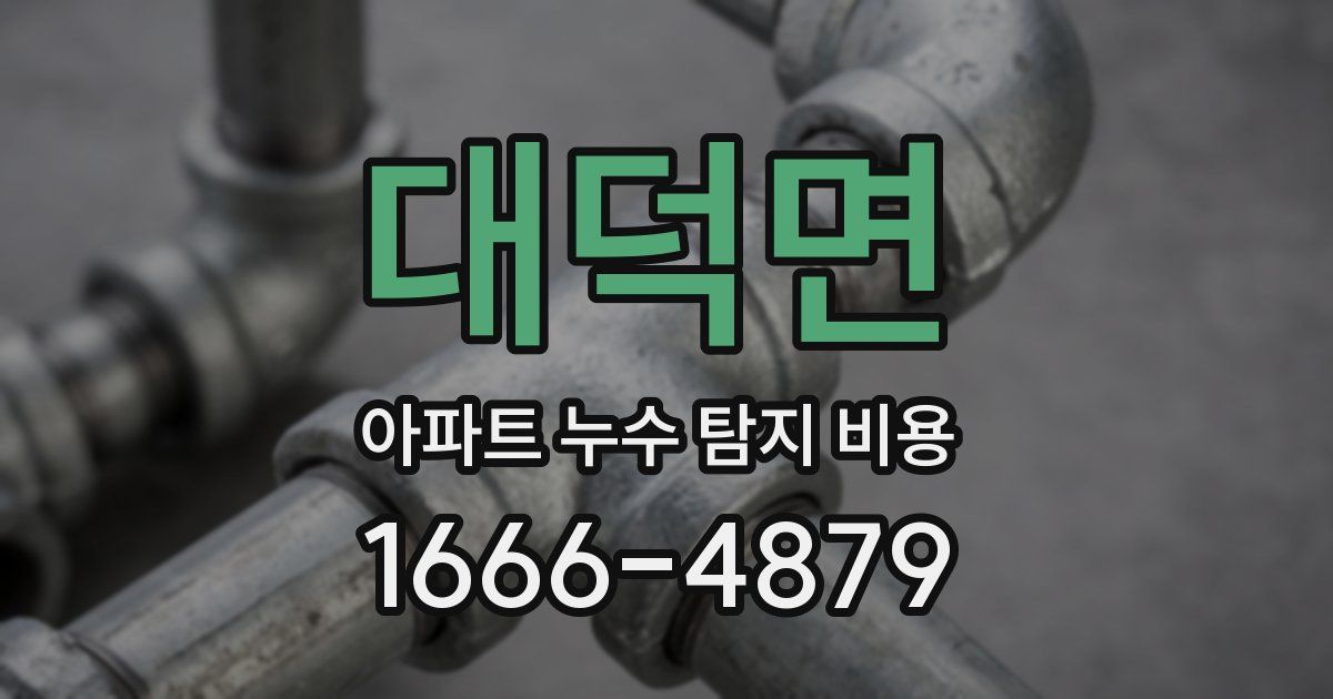 대덕면 아파트 누수 탐지 비용
