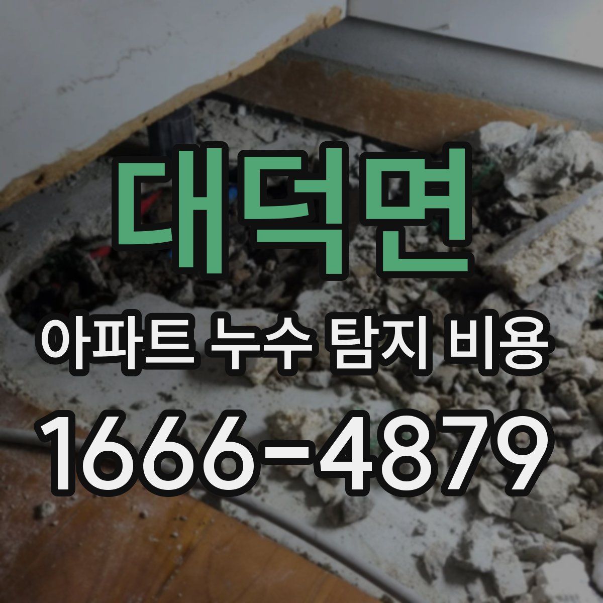 대덕면 아파트 누수 탐지 비용