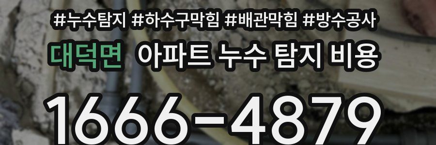 대덕면 아파트 누수 탐지 비용