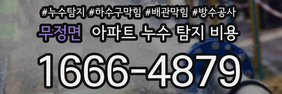무정면 아파트 누수 탐지 비용