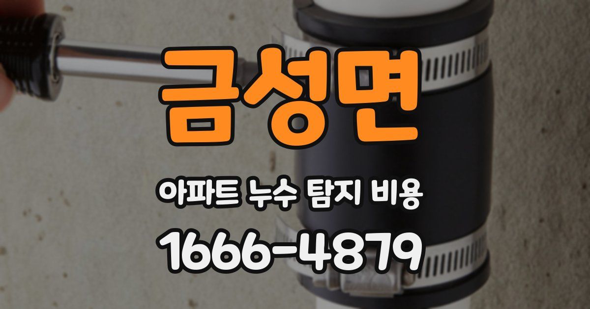 금성면 아파트 누수 탐지 비용