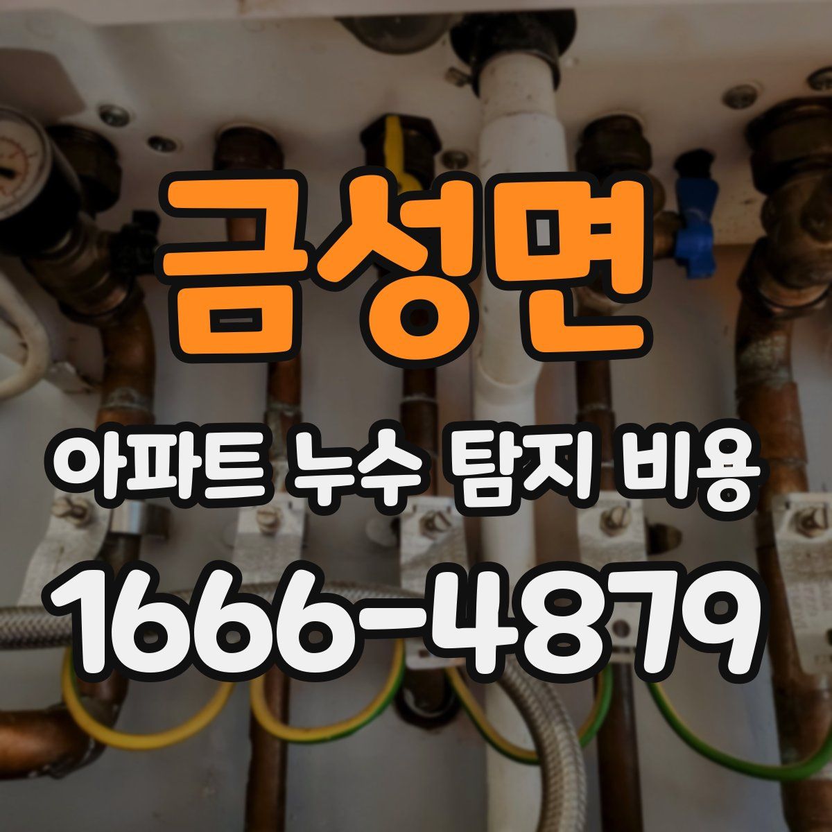 금성면 아파트 누수 탐지 비용