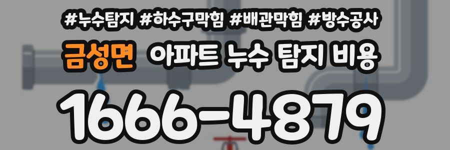 금성면 아파트 누수 탐지 비용