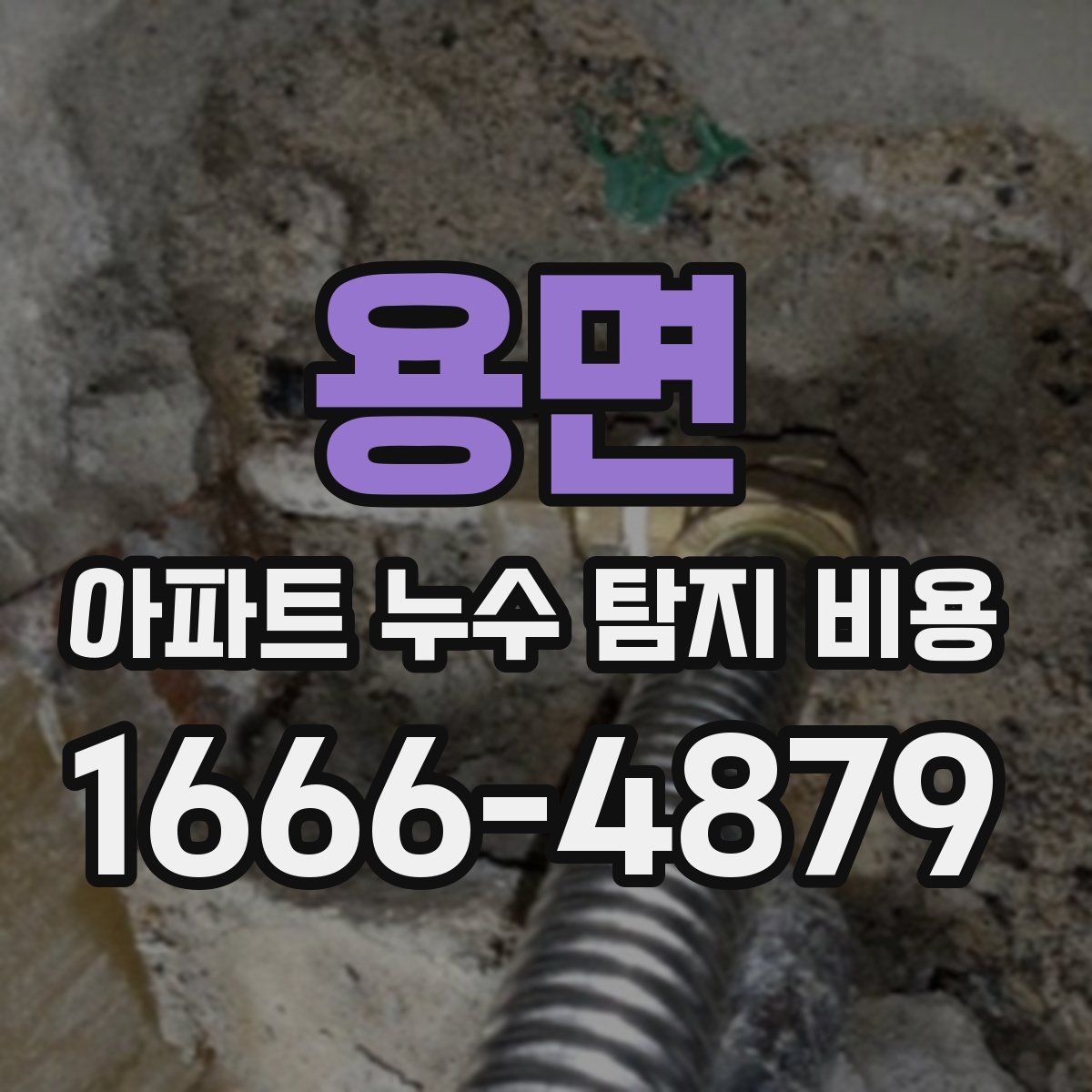 용면 아파트 누수 탐지 비용