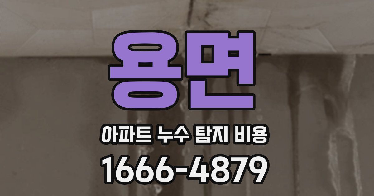 용면 아파트 누수 탐지 비용