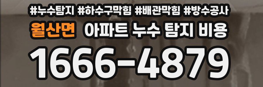 월산면 아파트 누수 탐지 비용