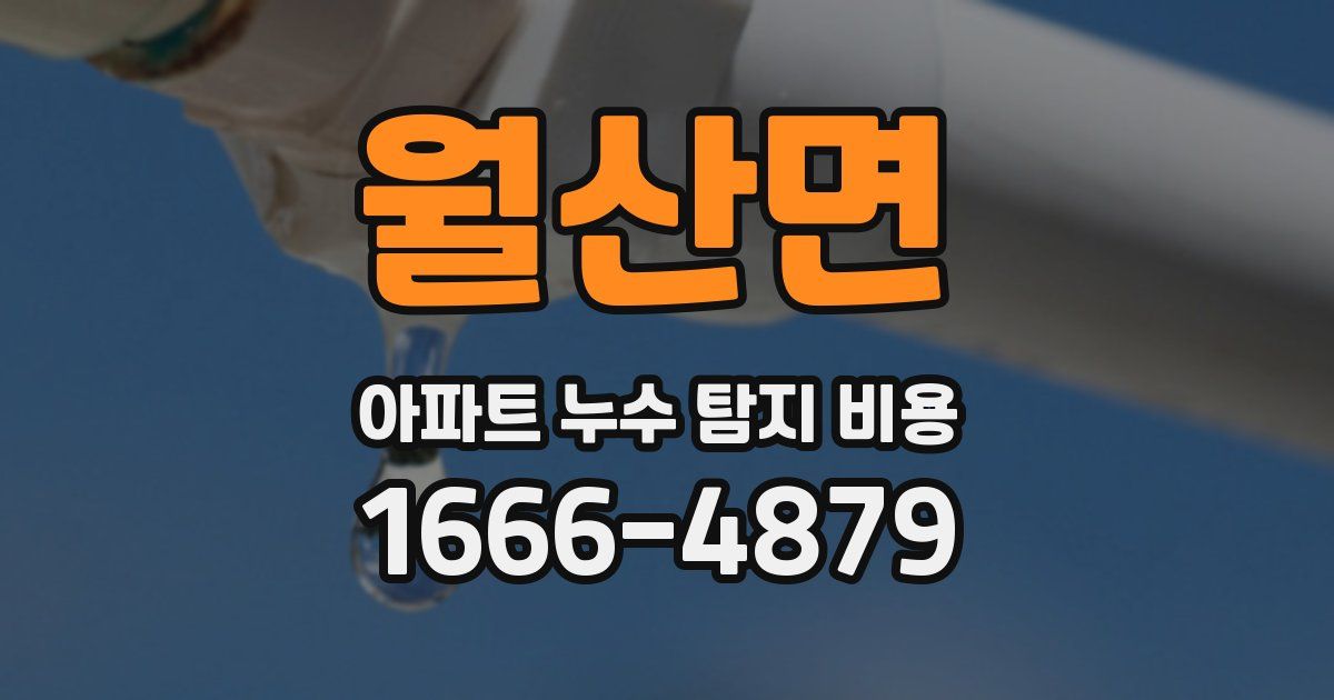 월산면 아파트 누수 탐지 비용