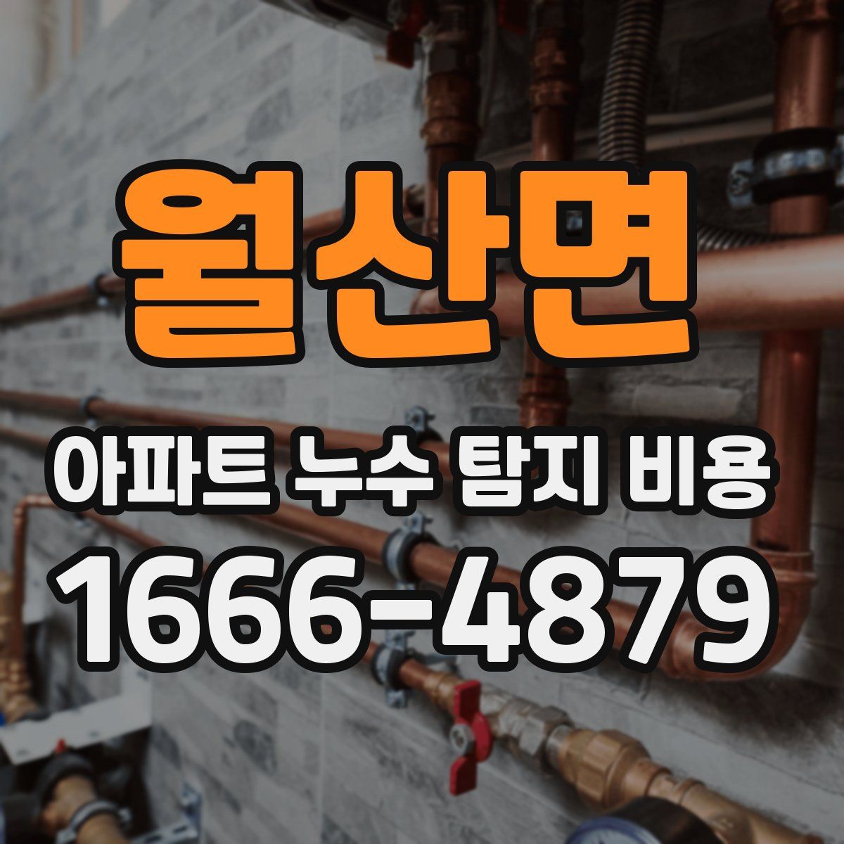 월산면 아파트 누수 탐지 비용