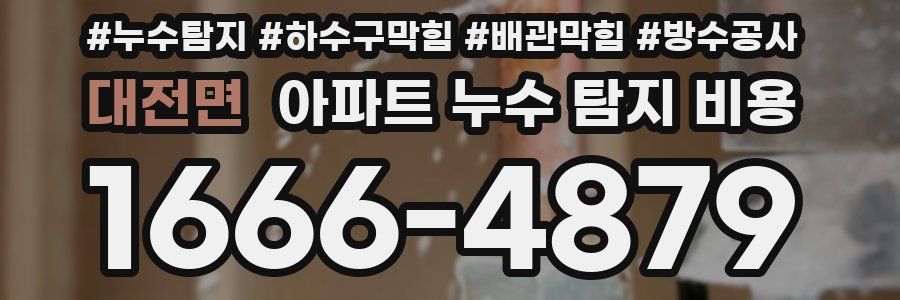 대전면 아파트 누수 탐지 비용