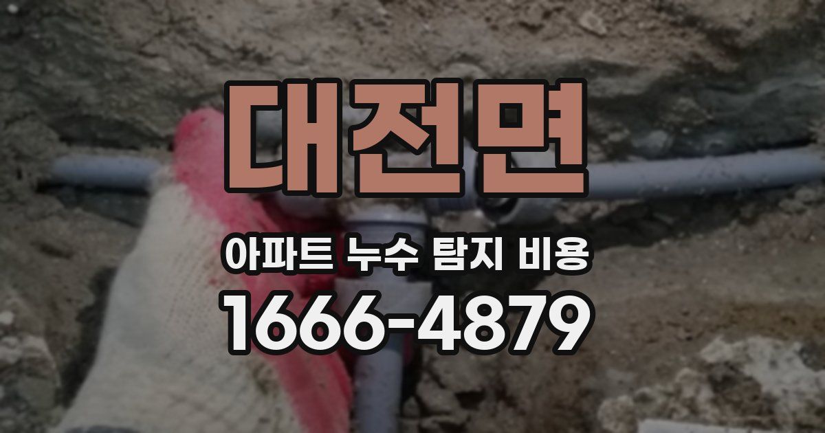 대전면 아파트 누수 탐지 비용