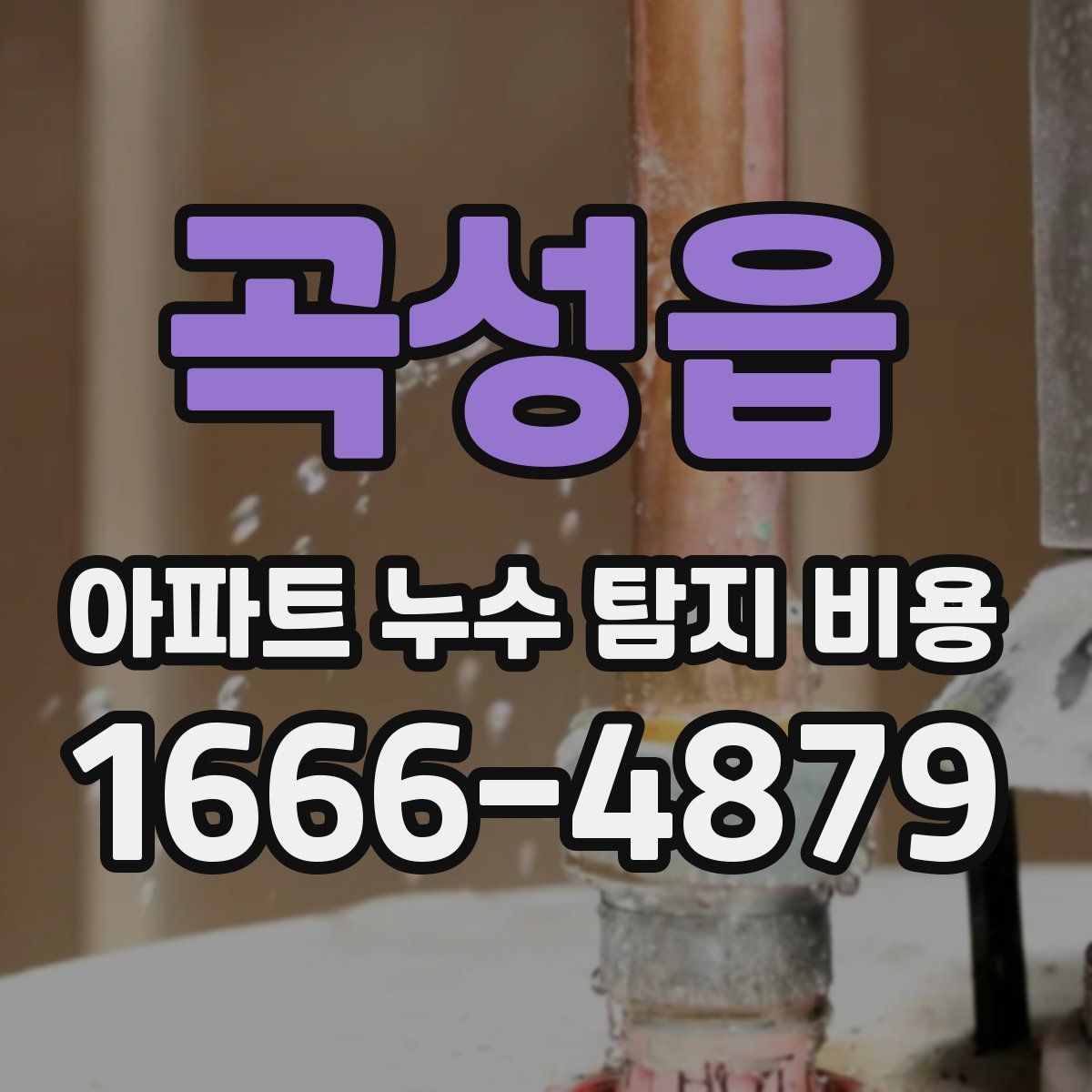곡성읍 아파트 누수 탐지 비용