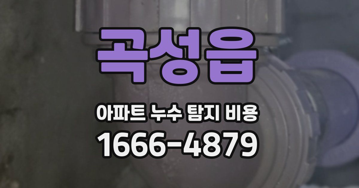 곡성읍 아파트 누수 탐지 비용