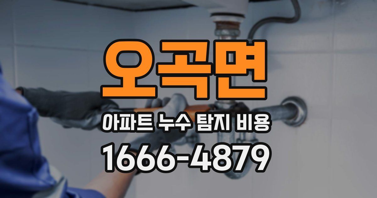 오곡면 아파트 누수 탐지 비용