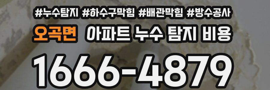 오곡면 아파트 누수 탐지 비용