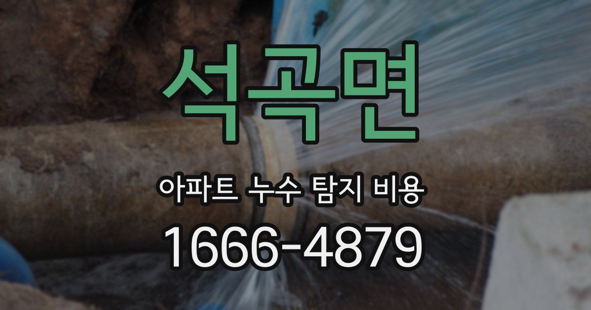 석곡면 아파트 누수 탐지 비용