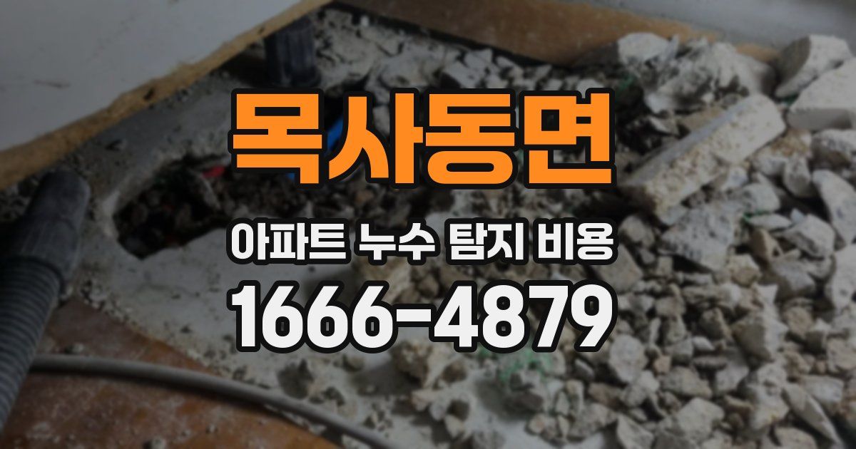 목사동면 아파트 누수 탐지 비용