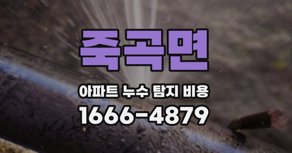 죽곡면 아파트 누수 탐지 비용
