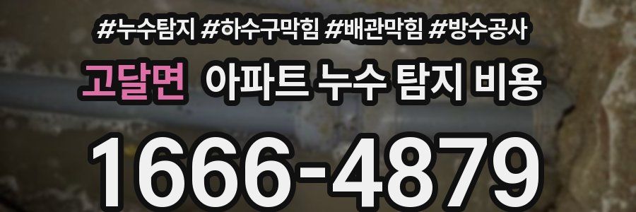 고달면 아파트 누수 탐지 비용