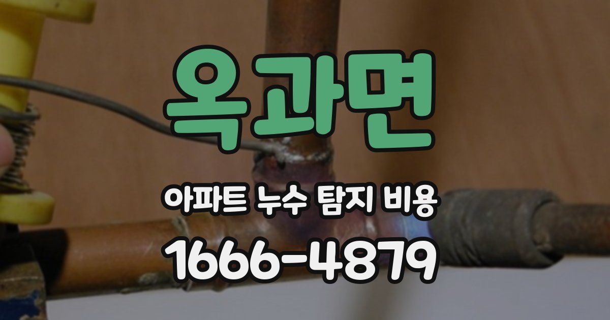 옥과면 아파트 누수 탐지 비용