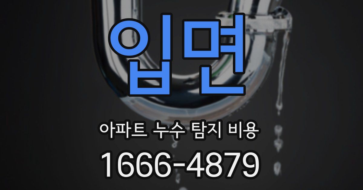 입면 아파트 누수 탐지 비용