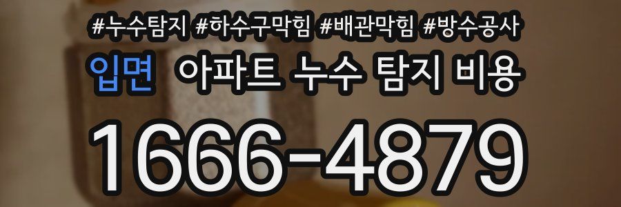 입면 아파트 누수 탐지 비용