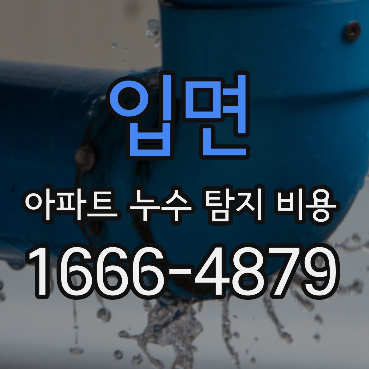 입면 아파트 누수 탐지 비용