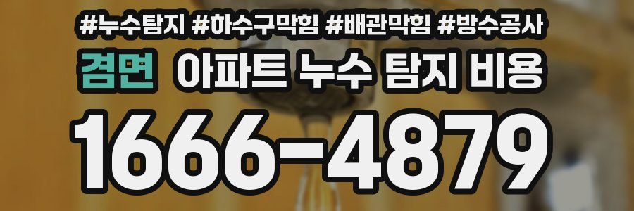 겸면 아파트 누수 탐지 비용