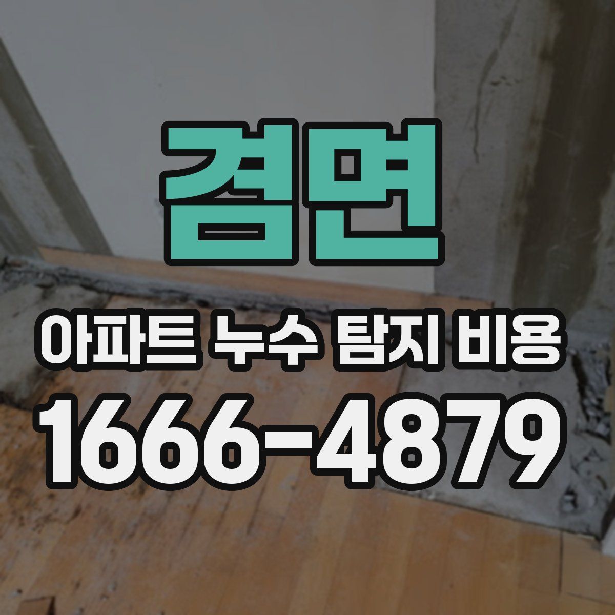 겸면 아파트 누수 탐지 비용
