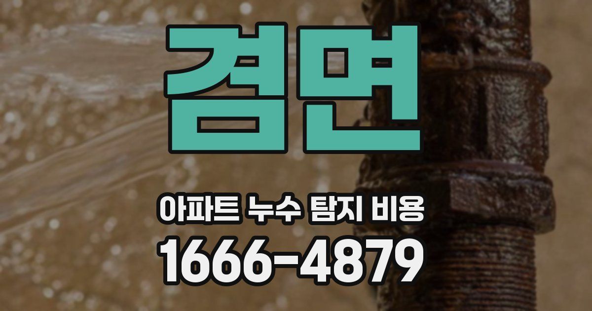 겸면 아파트 누수 탐지 비용