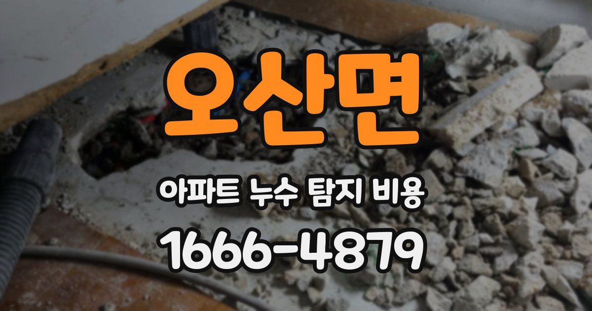 오산면 아파트 누수 탐지 비용